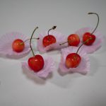 サクランボ　240528 (1 - 1)